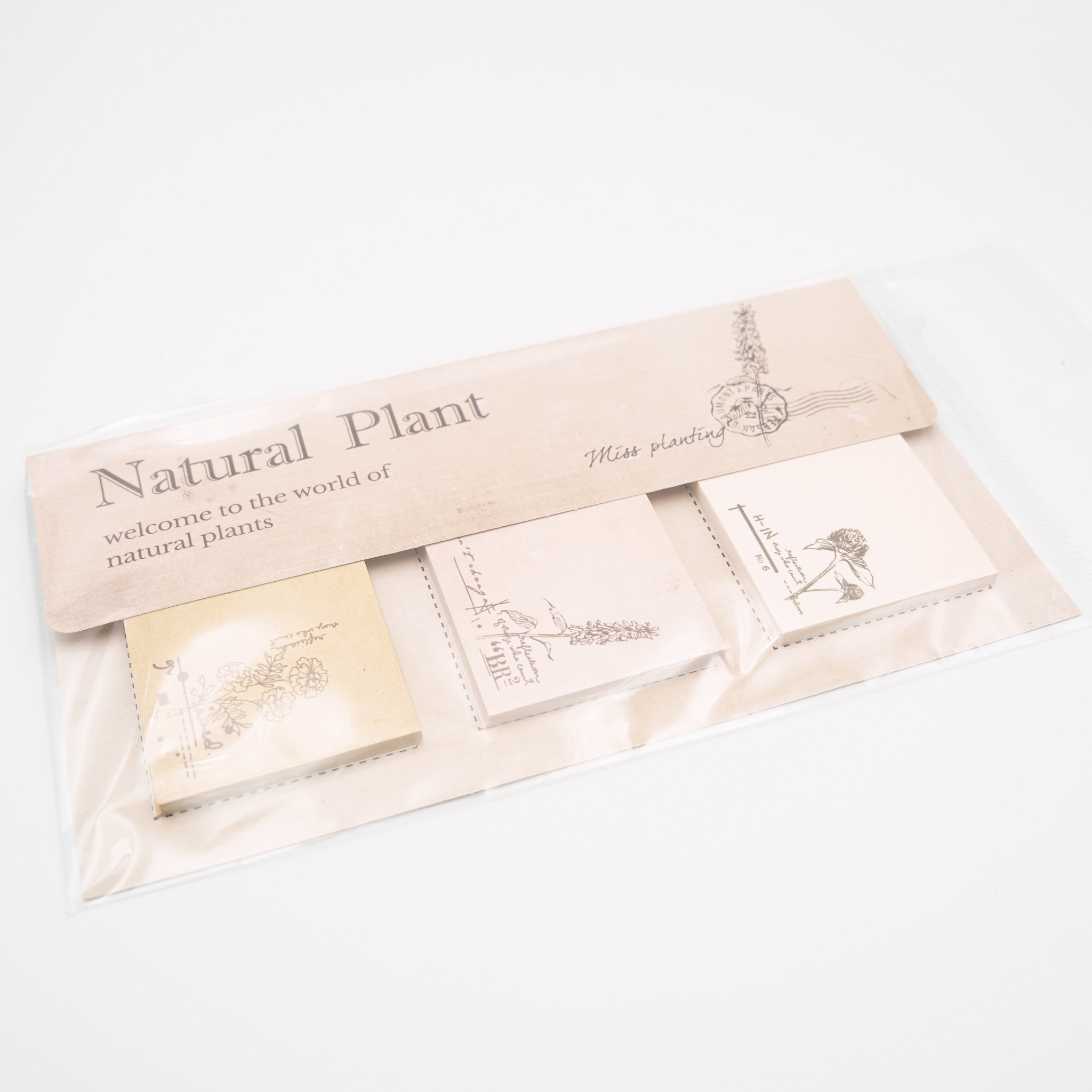 Natural Plant アンティーク素材紙メモ 0674 スタンプ専門店ハンコルンゴ
